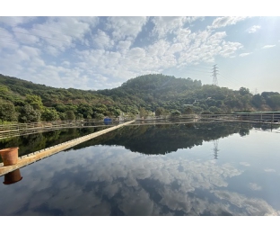 市政污水·穩(wěn)定達(dá)標(biāo)且不增加處理費(fèi)用—庫(kù)巴魯