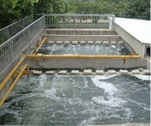 生化后出水氨氮比進水時還高？