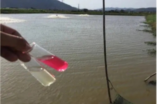 低溫下氨氮超標(biāo)原因分析？