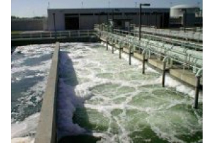 污泥活性不夠？