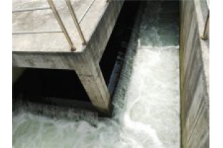 生化出水氨氮超標(biāo)是怎么回事，要怎么辦