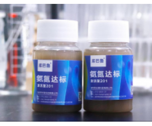 生化系統(tǒng)崩潰，氨氮超標(biāo)，我該怎么辦?