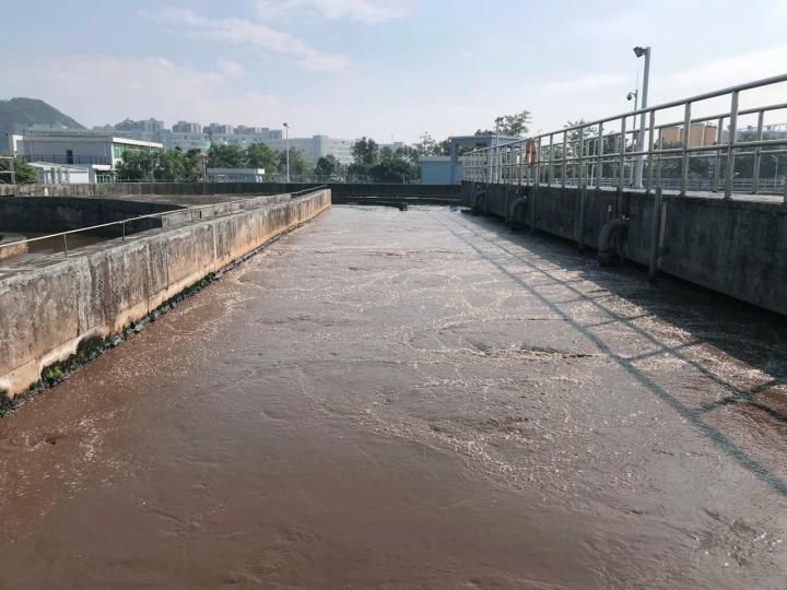 碳源不足導致總氮超標？