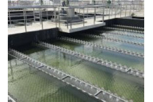 【干貨】有機(jī)物導(dǎo)致的氨氮超標(biāo)?這種情況該如何處理呢？