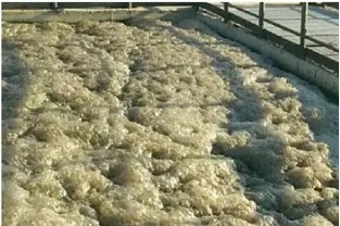 污水處理中的泡沫現(xiàn)象該怎么辦？
