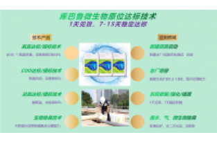 春節(jié)復工，生化系統(tǒng)快速修復，確保污水達標排放
