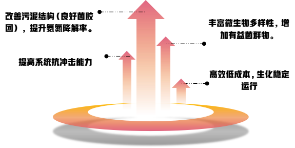 庫巴魯?好氧系統(tǒng)促生菌產品優(yōu)勢