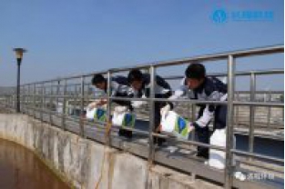 碳氮比失調，總氮超標怎么辦