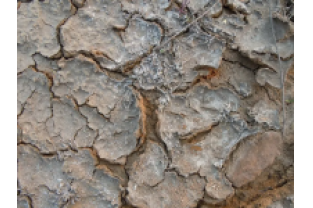 高鹽廢水生化系統(tǒng)如何穩(wěn)定運(yùn)行？