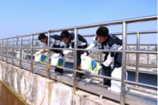 反硝化菌在污水處理中的作用是什么？