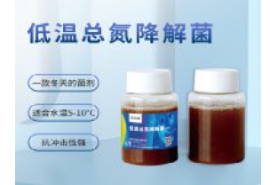 反硝化細(xì)菌在污水處理中的具體應(yīng)用是什么？