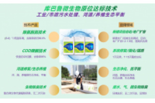 什么是氨氮激活菌，有什么作用