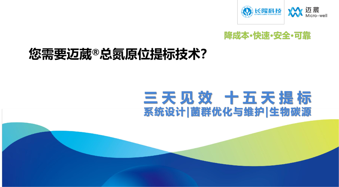 總氮原位提標技術(shù)